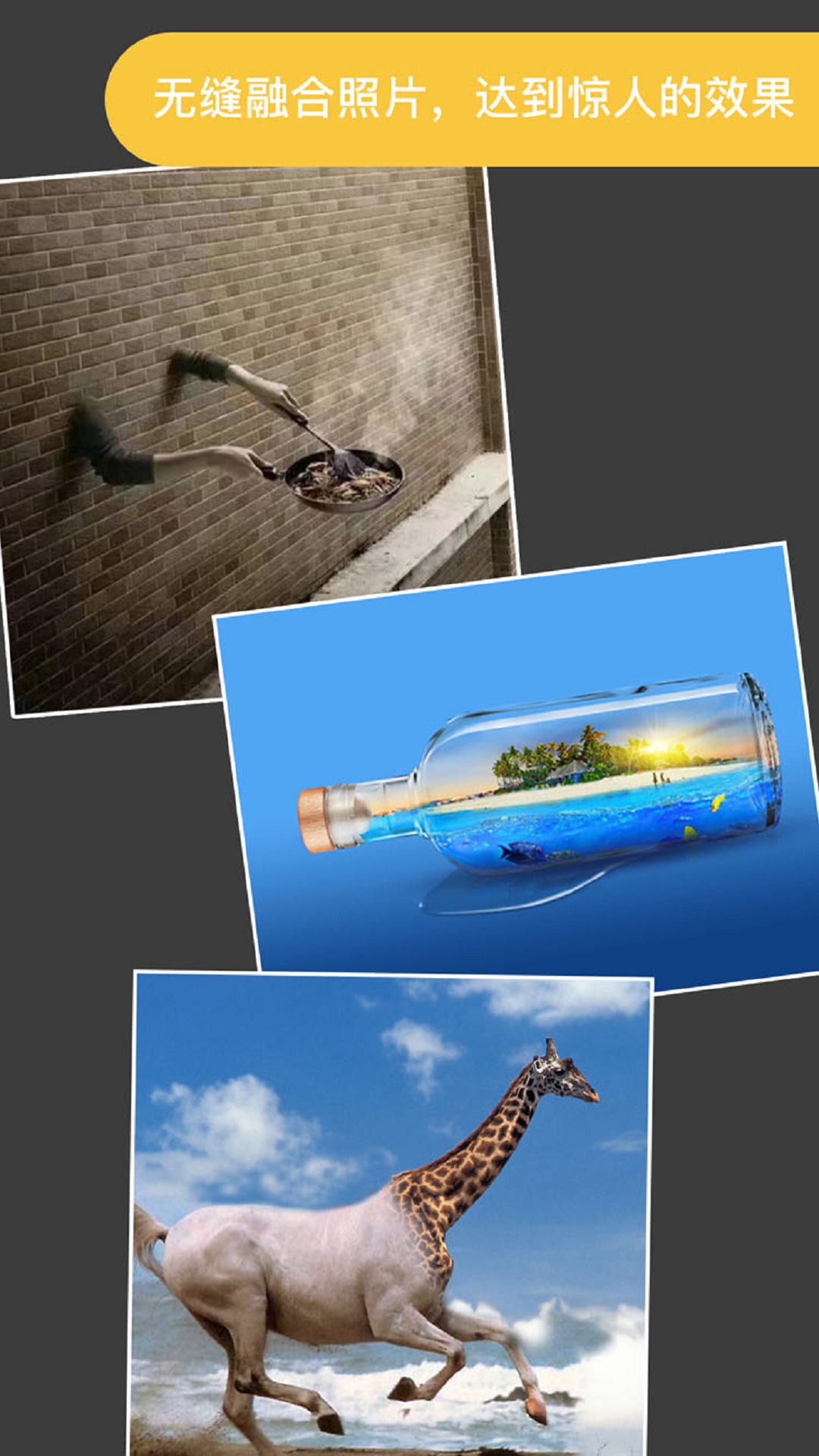 proknockout智能抠图破解版