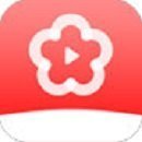 梅花视频app