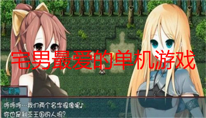 宅男最爱的单机游戏