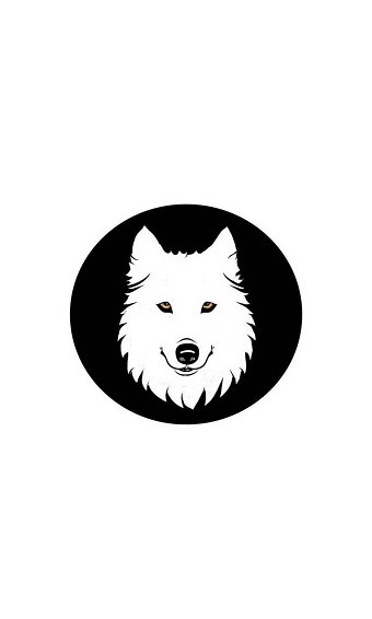 小狼直通车 小狼直通车