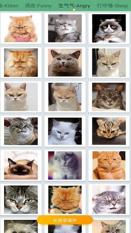 萌猫翻译神器 萌猫翻译神器