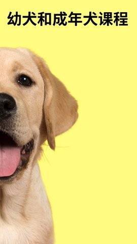 EveryDoggy EveryDoggy