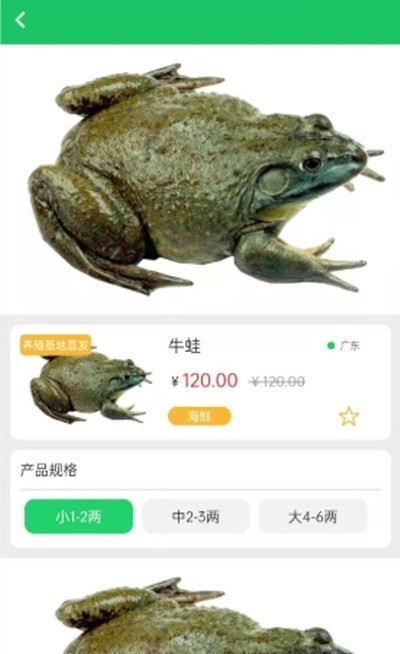 晓能批发 晓能批发