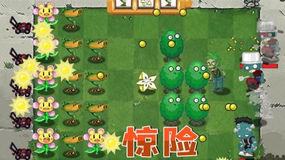 1643521179225667.jpg 1643521179225667.jpg