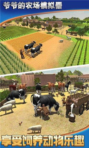 yydncmnq.jpg yydncmnq.jpg