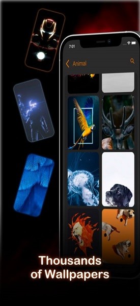 airlive 4k动态壁纸app