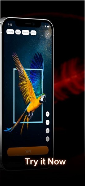 airlive 4k动态壁纸app.jpg airlive 4k动态壁纸app.jpg