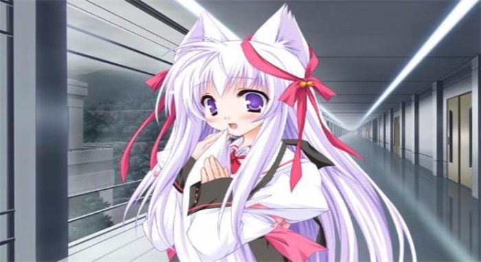 365天恋爱 365天恋爱