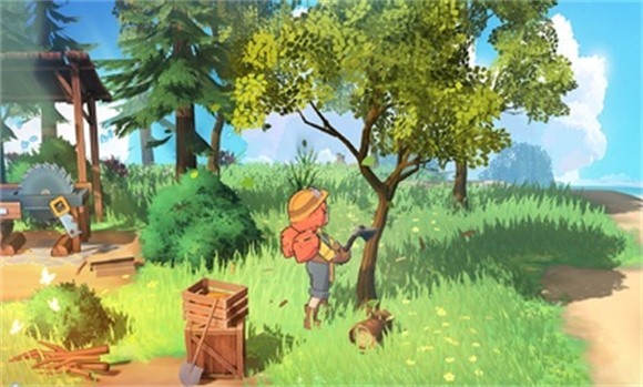 舒适的小岛 舒适的小岛