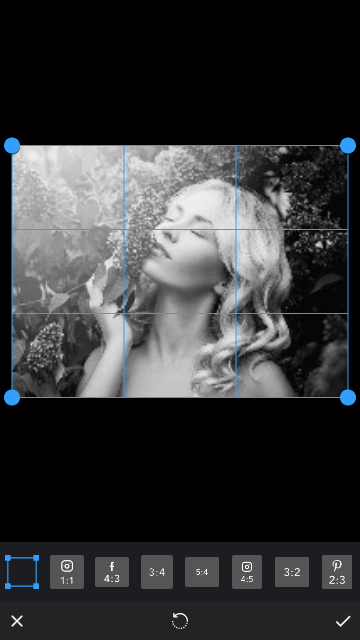 P图大婶.png P图大婶.png